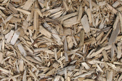 biomass boilers Peasmarsh